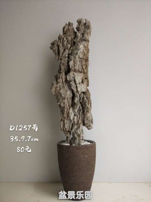 d1257.jpg