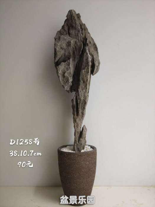 d1258.jpg