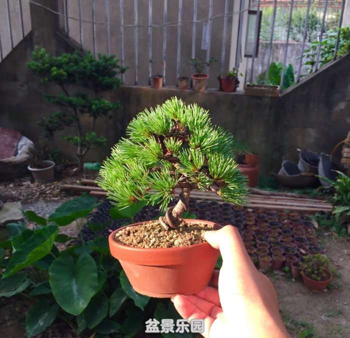 QQͼƬ20180619085753.jpg