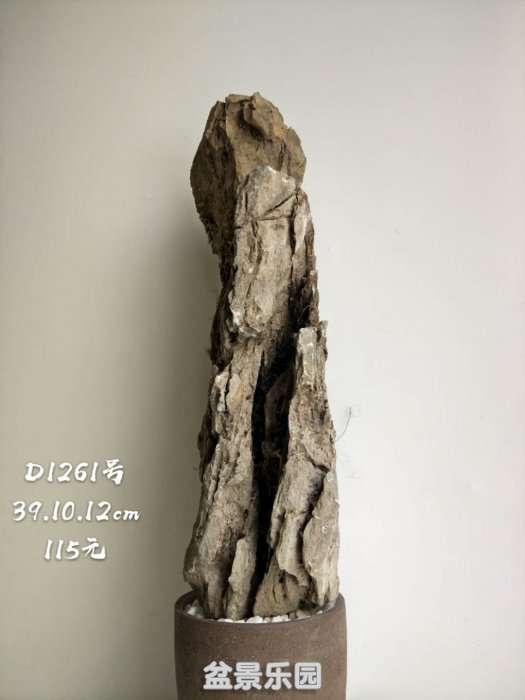 d1261.jpg