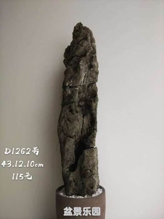 d1262.jpg