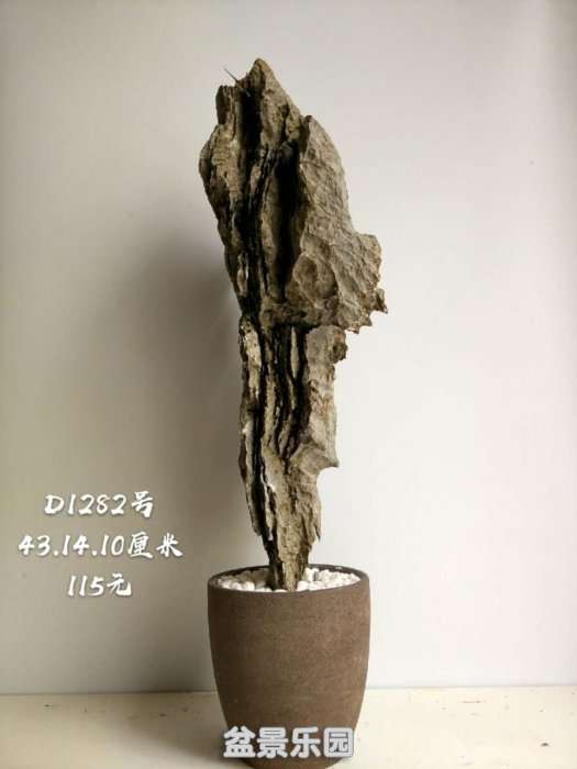 d1282.jpg
