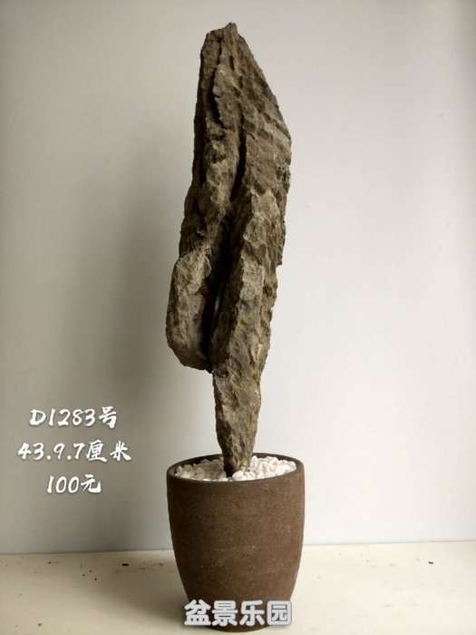 d1283.jpg