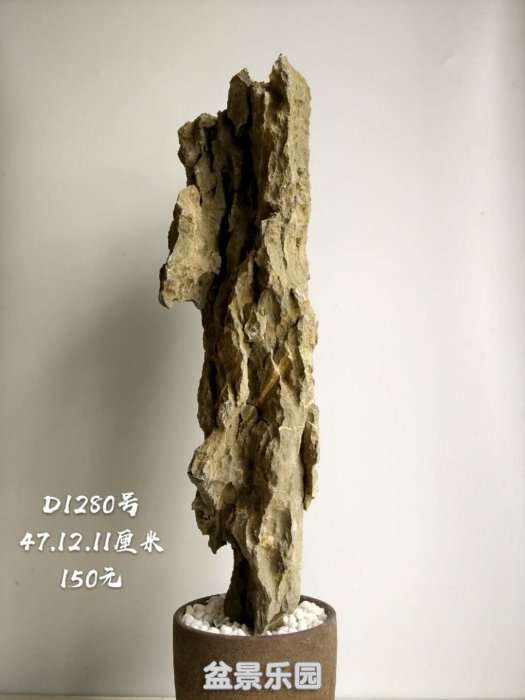 d1280.jpg