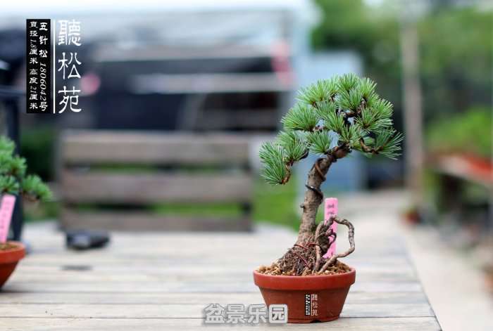 1806042ظ.jpg