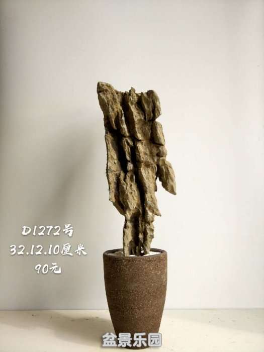 d1272.jpg
