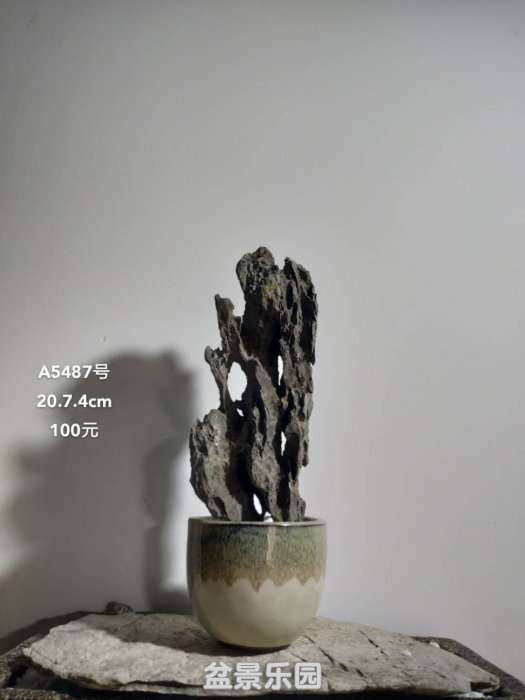 a5487.jpg