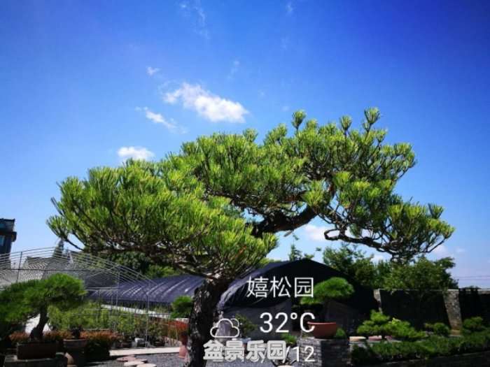 ͼƬ20180712145658.jpg