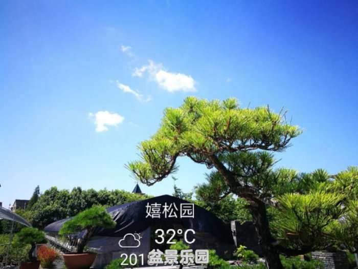 ͼƬ20180712145645.jpg