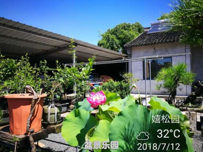 ͼƬ20180712145640.jpg