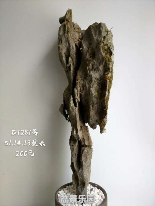 d1281.jpg