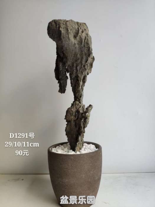 d1291.jpg