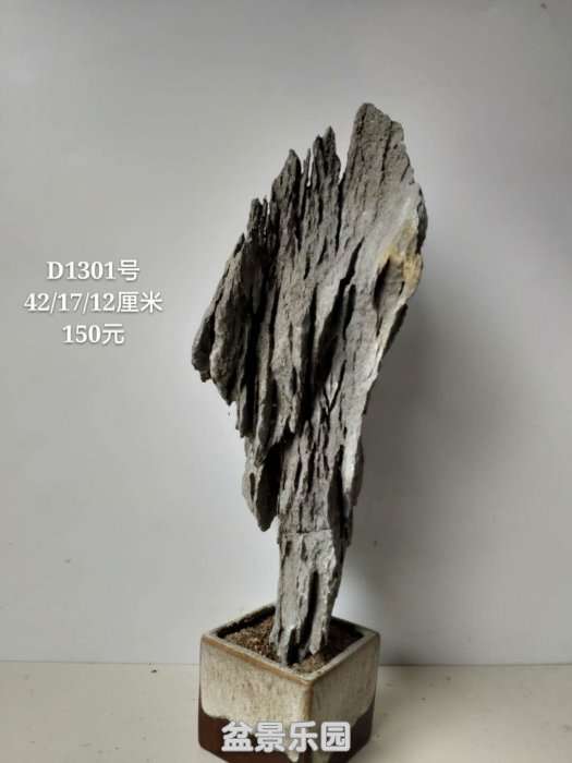 d1301.jpg
