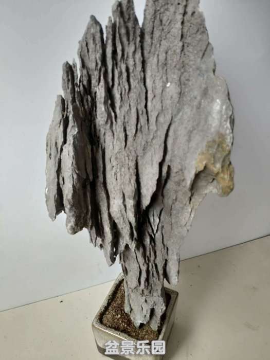 d1301a.jpg