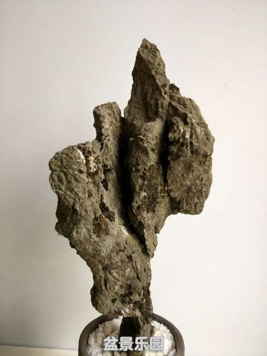 d1271a.jpg