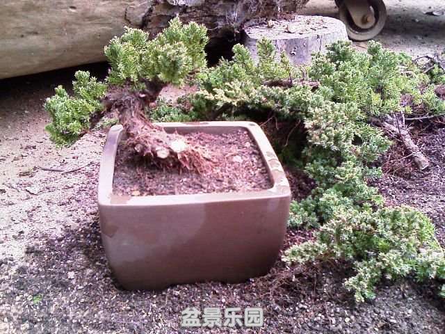 IMAG0052.jpg