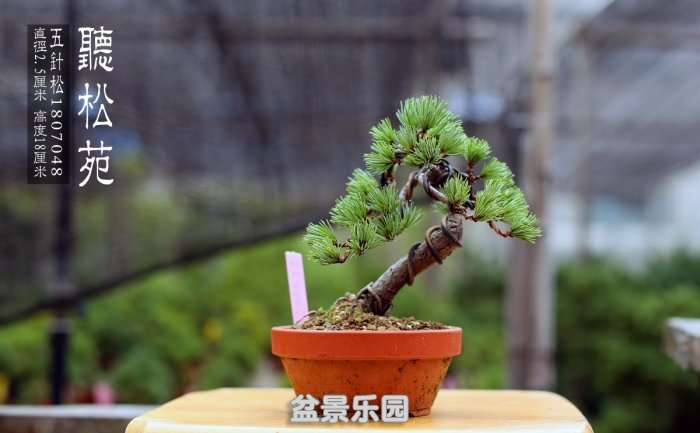 18070482ظ .jpg