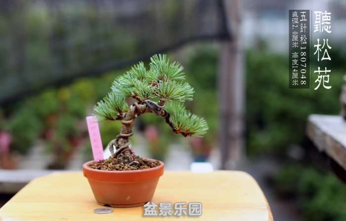 1807048ظ .jpg