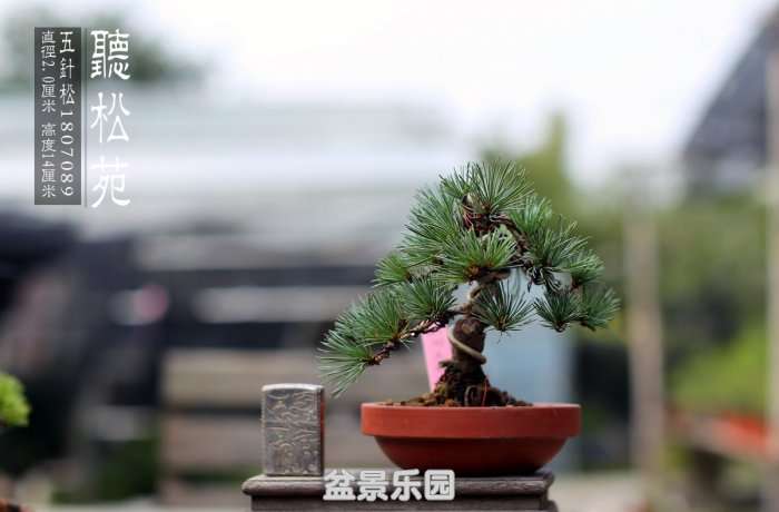1807089ɣظţ.jpg