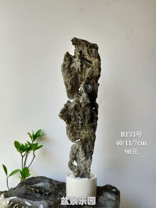b153.jpg