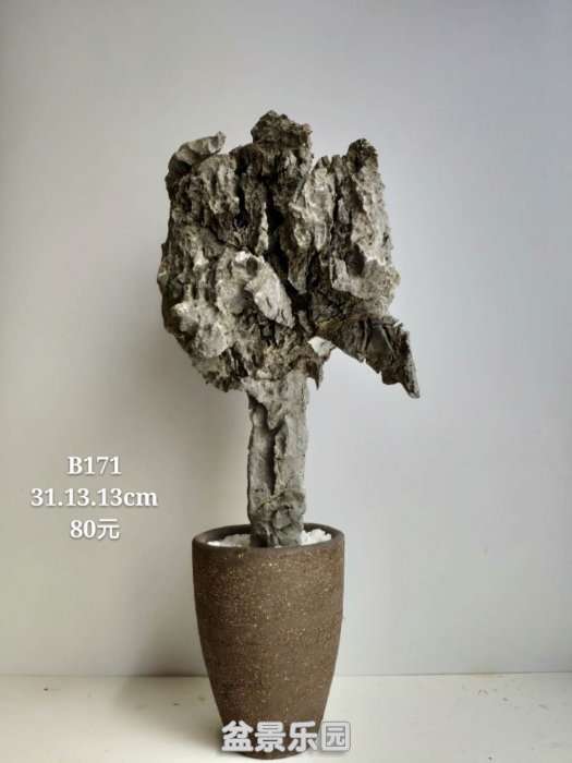 b171.jpg