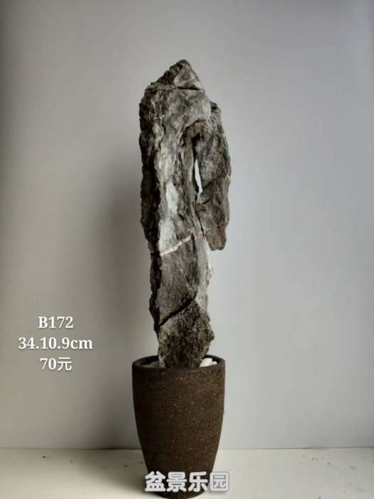 b172.jpg