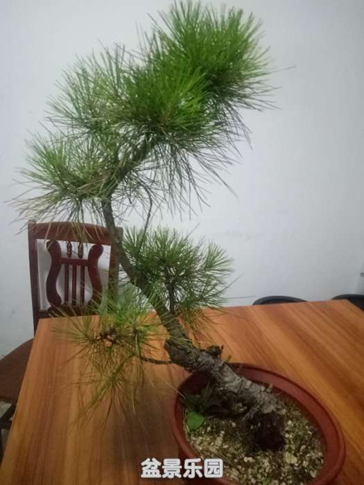 QQͼƬ20180629130211_.jpg
