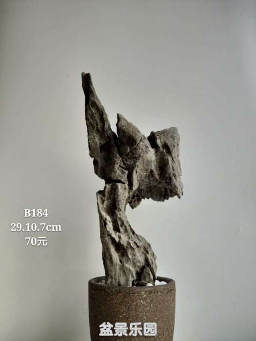 b184.jpg