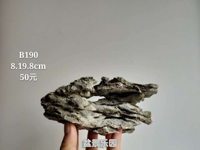 b190.jpg