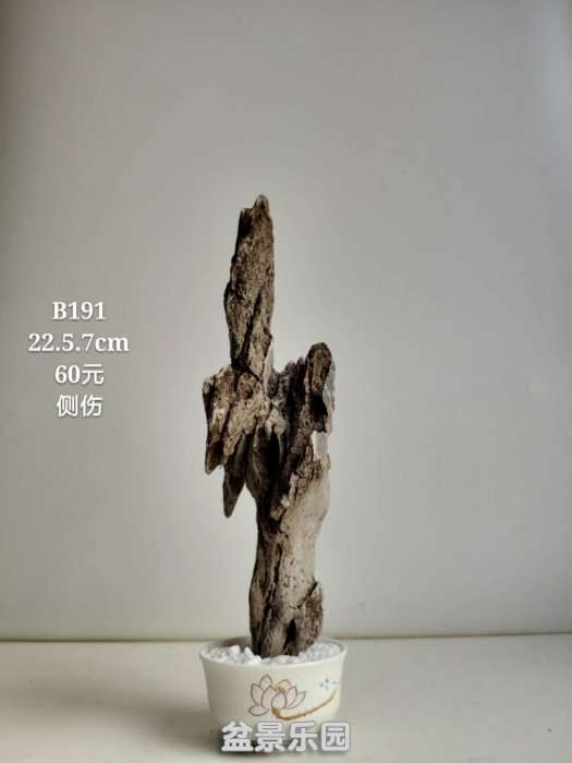 b191.jpg