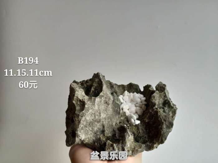 b194.jpg