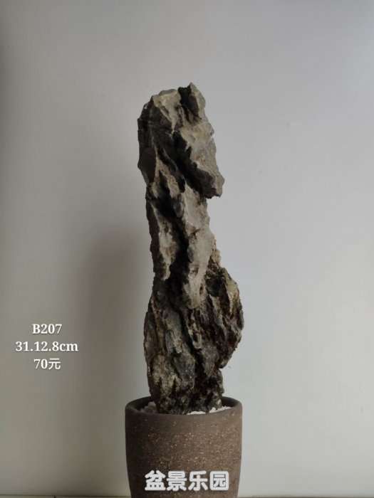 b207.jpg
