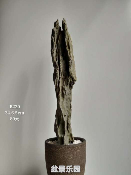 b220.jpg