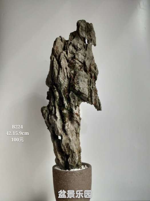 b224.jpg