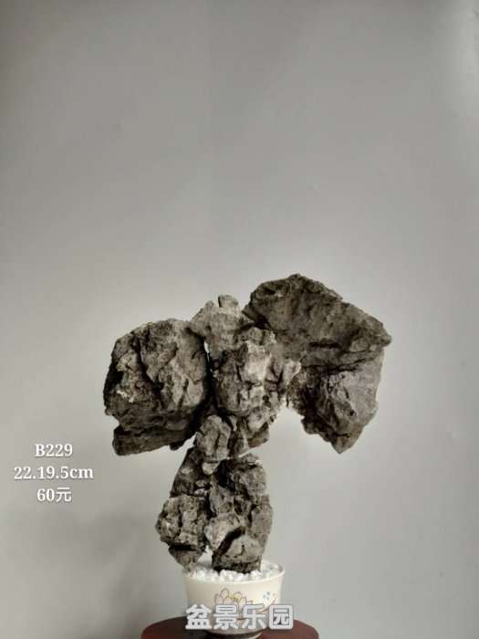b229.jpg