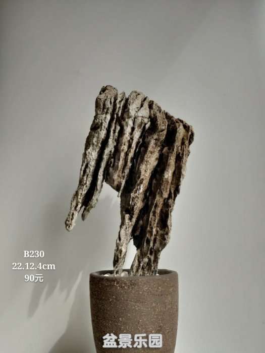 b230.jpg