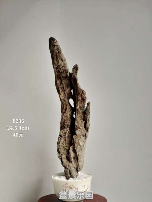 b236.jpg