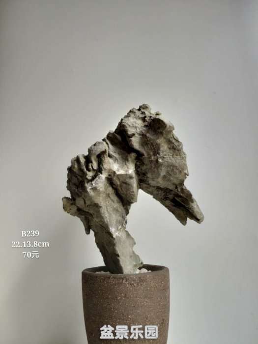 b239.jpg