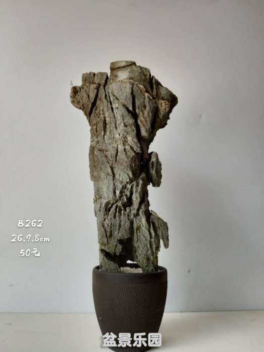 b262.jpg
