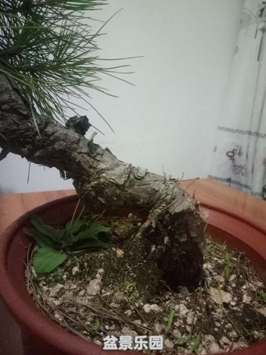 QQͼƬ20180629130220_.jpg
