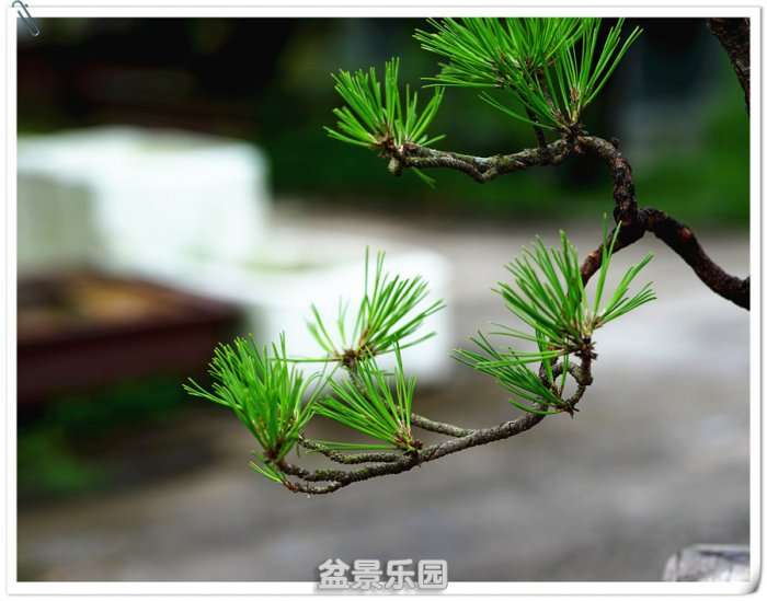DSC01250_.jpg