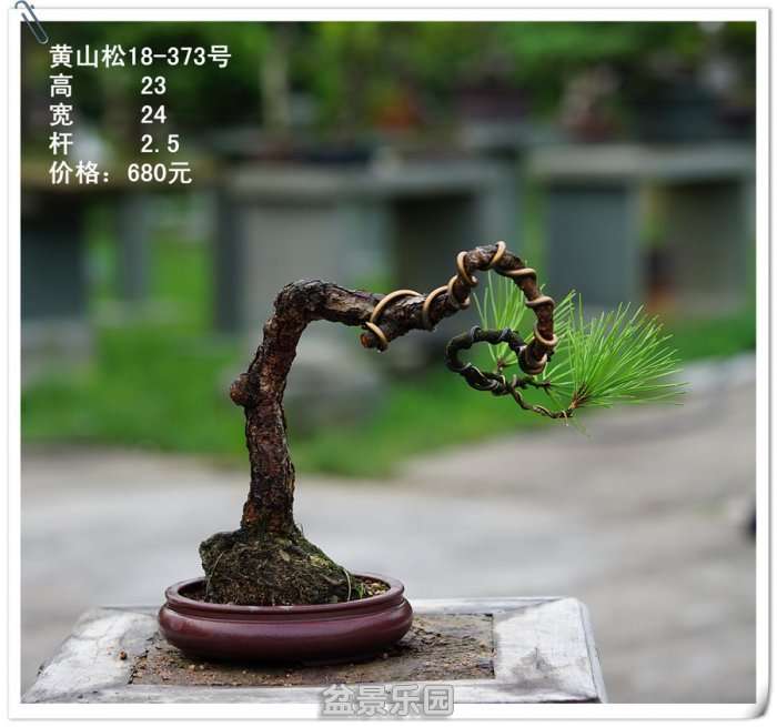 DSC01252_.jpg