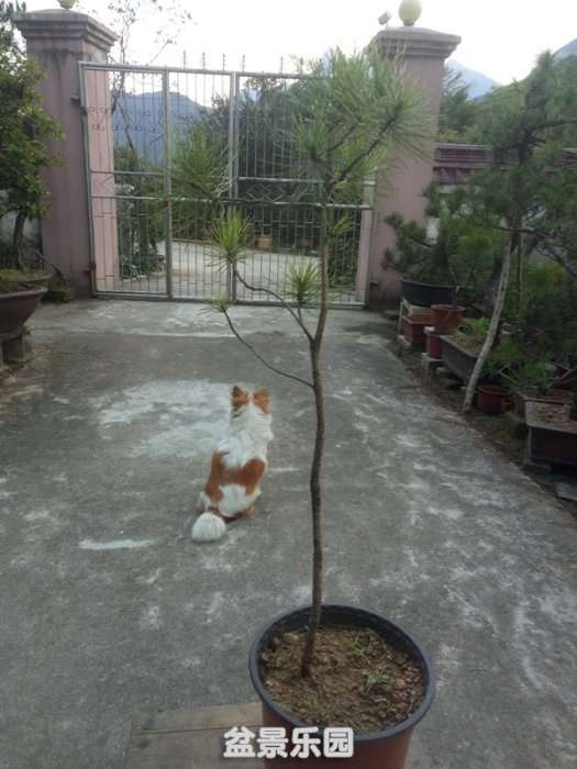 QQͼƬ20180915125815_.jpg