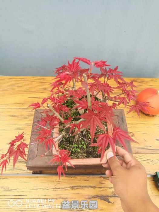 ΢ͼƬ_20180916194902.jpg