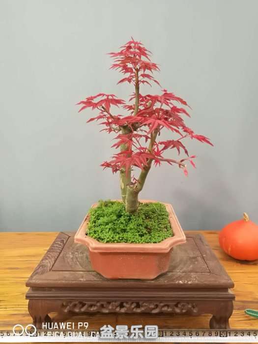 ΢ͼƬ_20180917195619.jpg