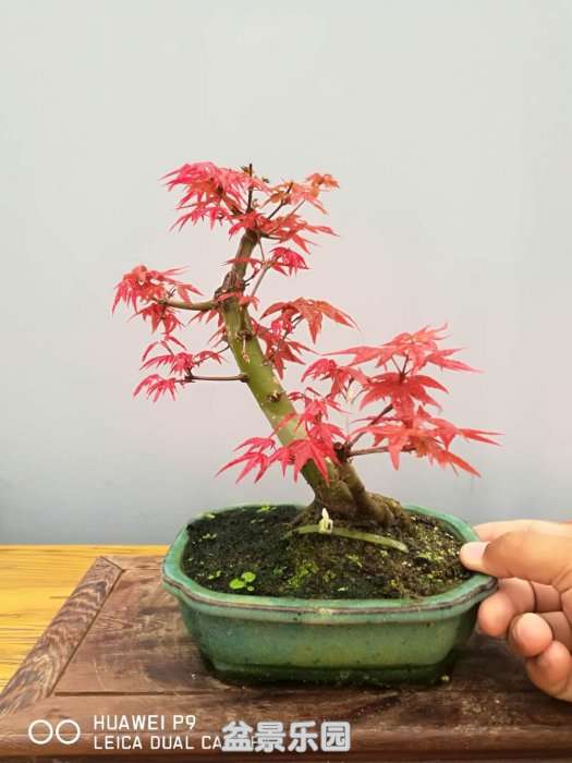 ΢ͼƬ_20180919192539.jpg