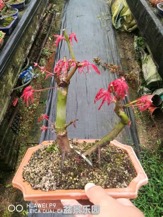 ΢ͼƬ_20180919192629.jpg