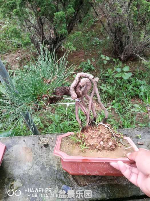 ΢ͼƬ_20180919192820.jpg