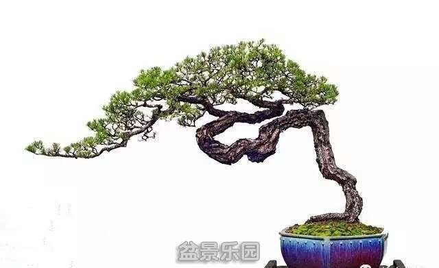 IMG_20180925_163147.jpg