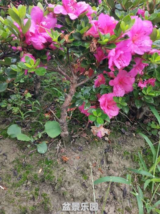 IMG_20180531_080436.jpg
